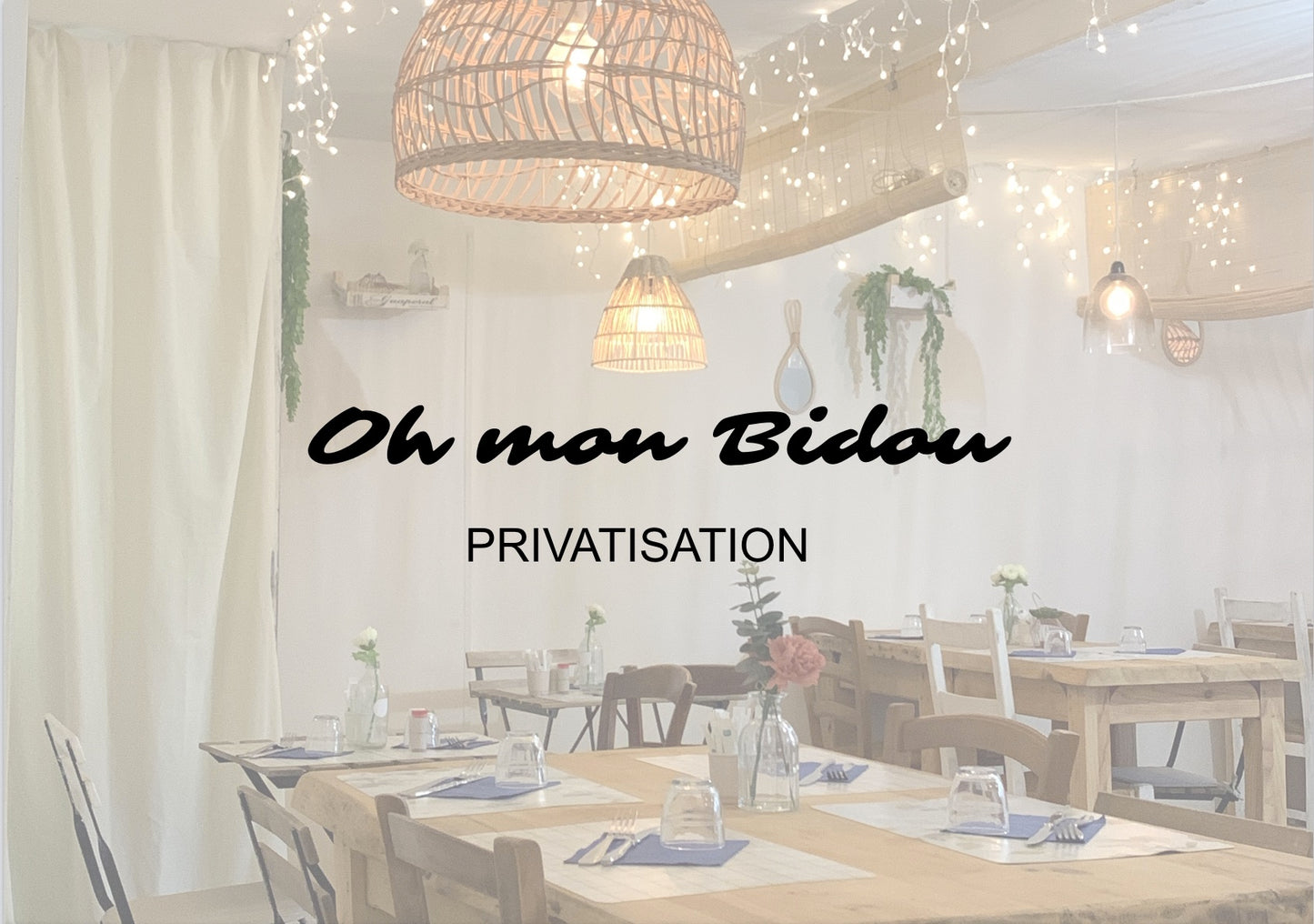 Privatisation du Bidou